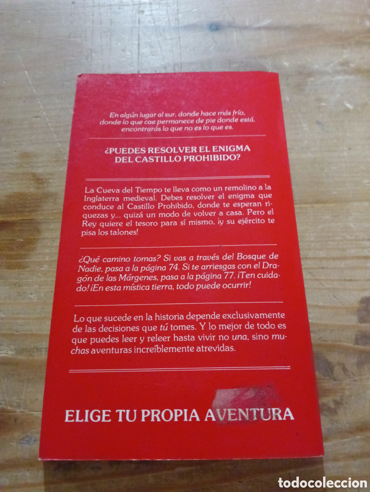 Libros de segunda mano: El Castillo Prohibido 10. Timun Mas - Foto 2