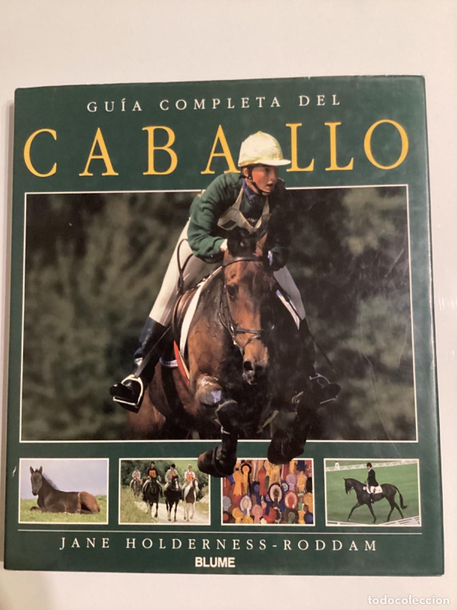 Libros de segunda mano: GU&Iacute;A COMPLETA DEL CABALLO JANE HOLDERNESS - RODDAM BLUME - Foto 1