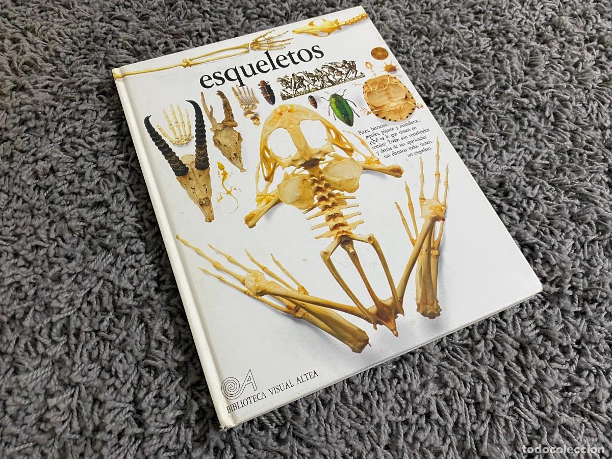 Libros de segunda mano: BIBLIOTECA VISUAL ALTEA: ESQUELETOS - PARKER, STEVE - Foto 1