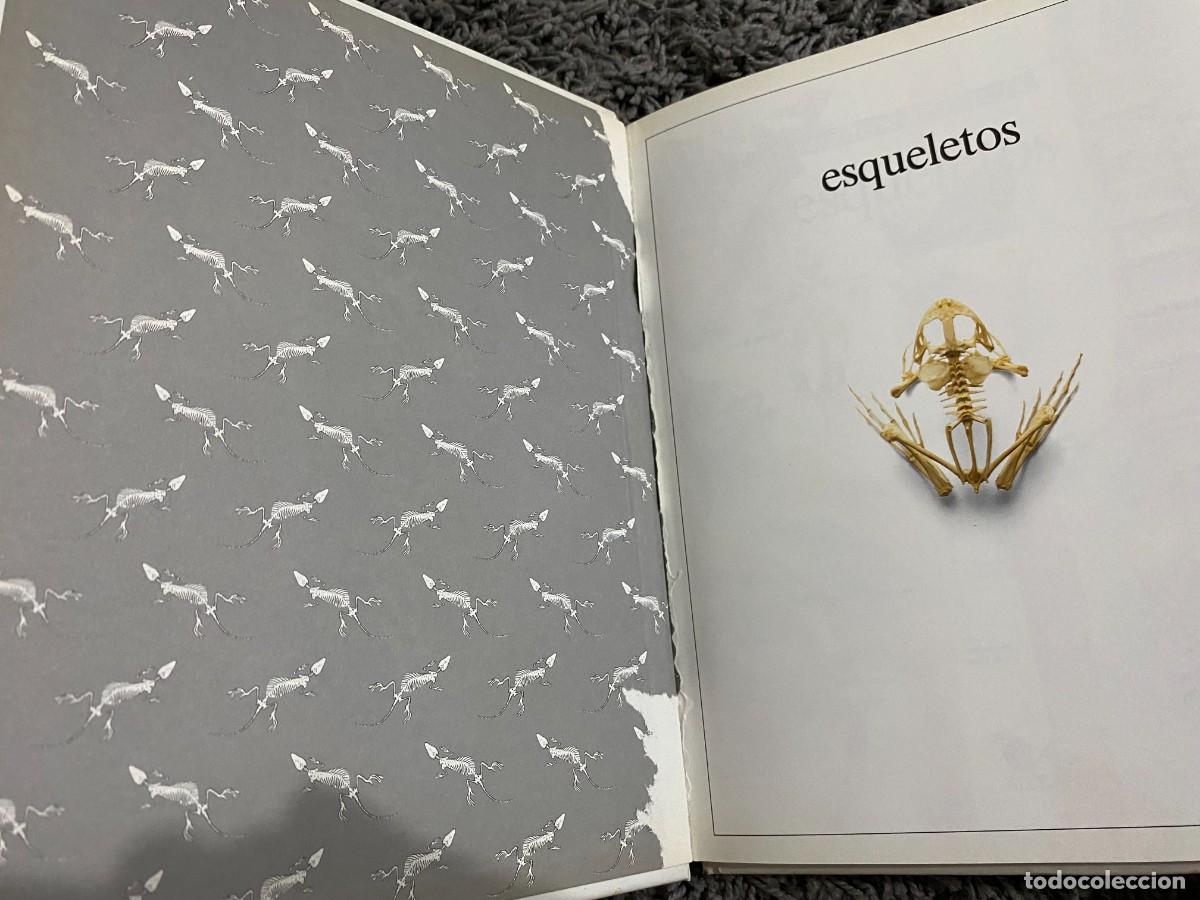 Libros de segunda mano: BIBLIOTECA VISUAL ALTEA: ESQUELETOS - PARKER, STEVE - Foto 7