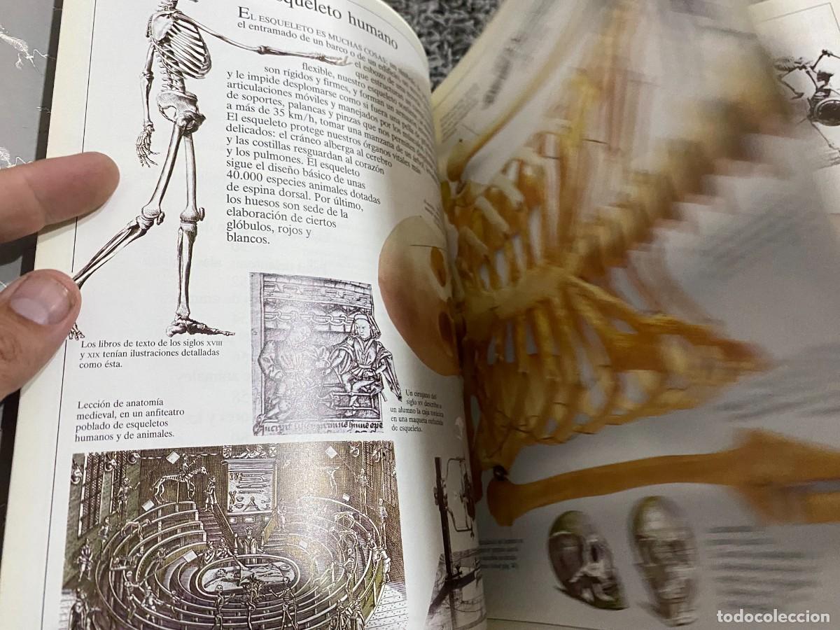 Libros de segunda mano: BIBLIOTECA VISUAL ALTEA: ESQUELETOS - PARKER, STEVE - Foto 8