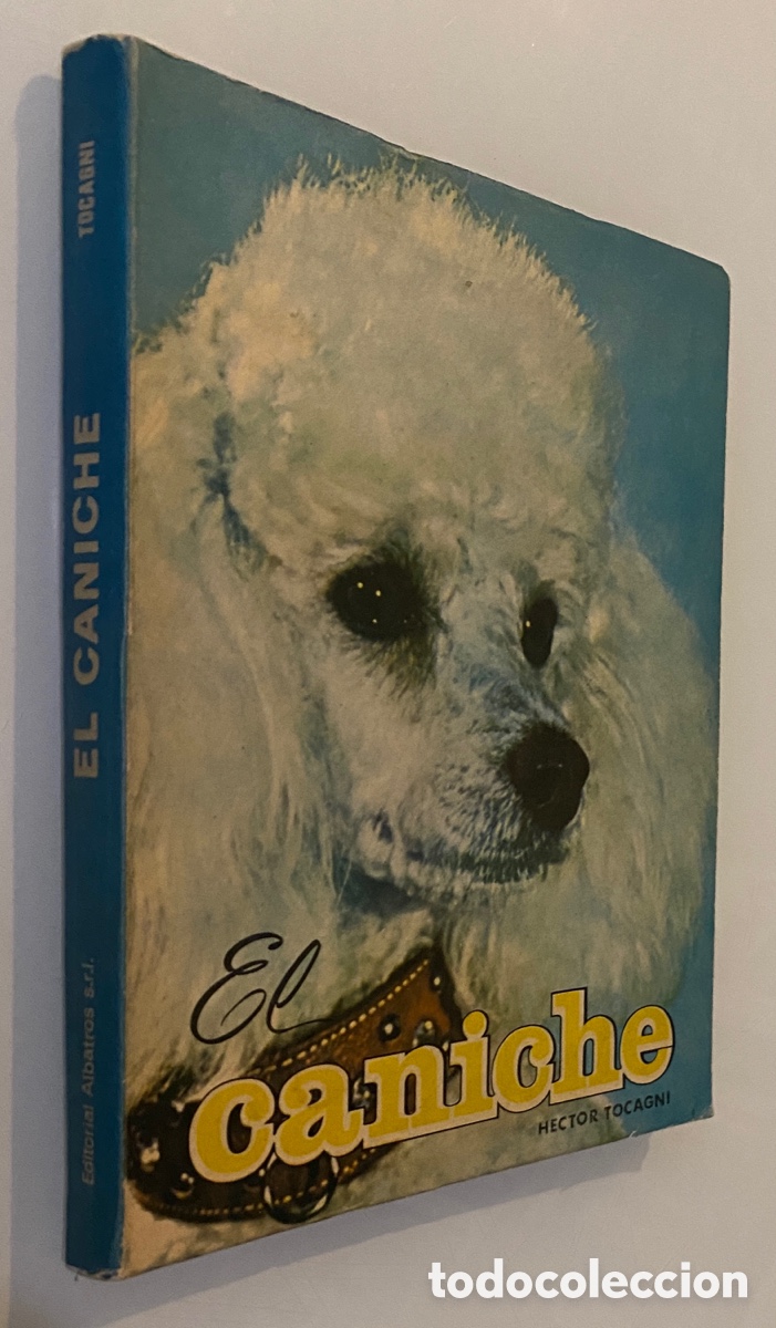 Libros de segunda mano: El caniche - TOCAGNI, H&eacute;ctor - Foto 1