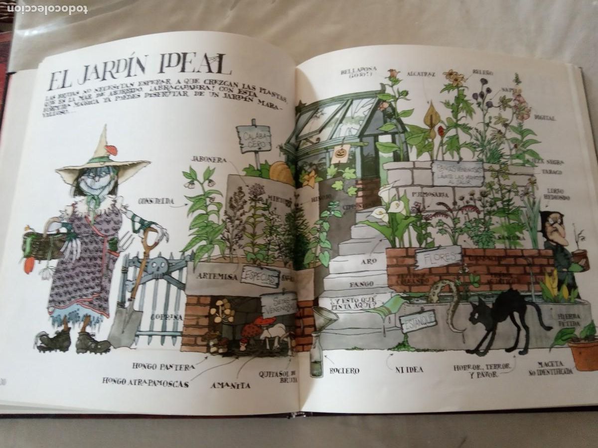 Libros de segunda mano: MANUAL DE LA BRUJA. - MALCOLM BIRD .ANAYA 1985. - Foto 5