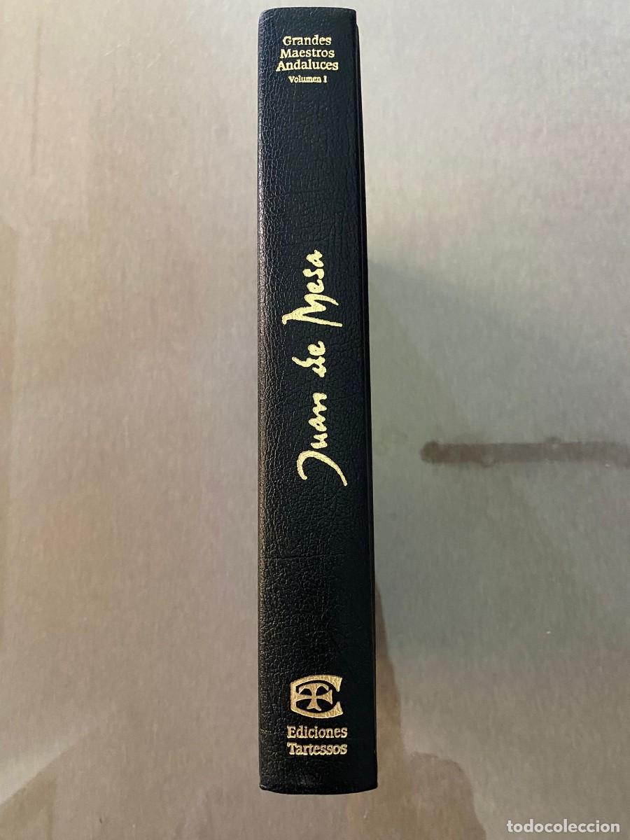 Libros de segunda mano: JUAN DE MESA, cat&aacute;logo completo. Ediciones Guadalquivir. - Foto 3