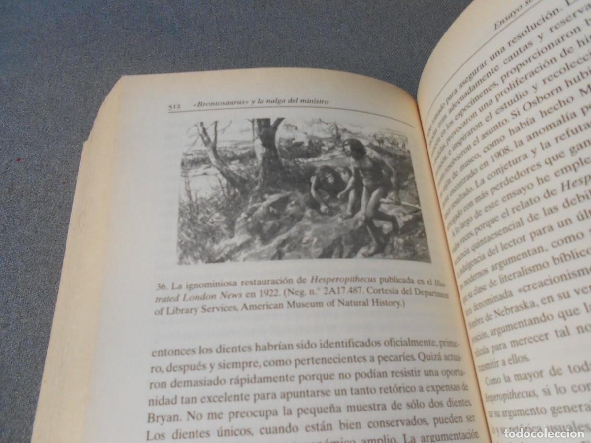 Libros de segunda mano: BRONTOSAURUS Y LA NALGA DEL MINISTRO - Foto 3