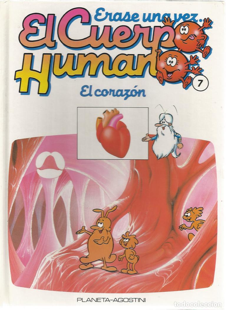 07 Erase una vez El Cuerpo Humano - El Corazón 