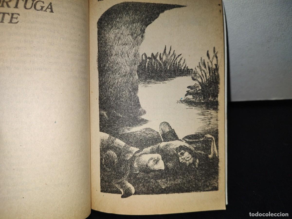 Libros de segunda mano: 78- CUENTOS DE LA SELVA - HORACIO QUIROGA - 1993 - Foto 7