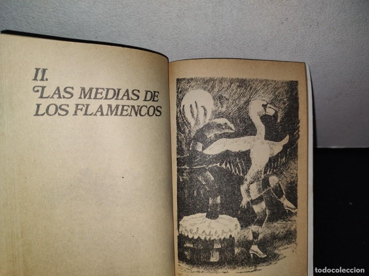 Libros de segunda mano: 78- CUENTOS DE LA SELVA - HORACIO QUIROGA - 1993 - Foto 8