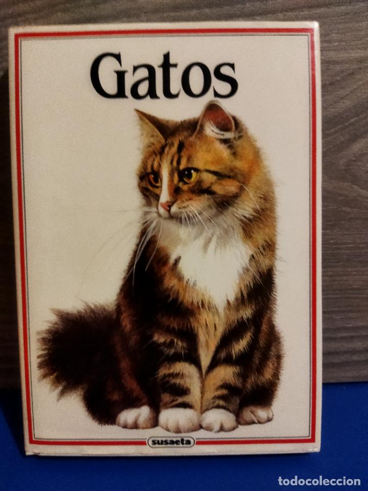 Libros de segunda mano: Gatos - Foto 1