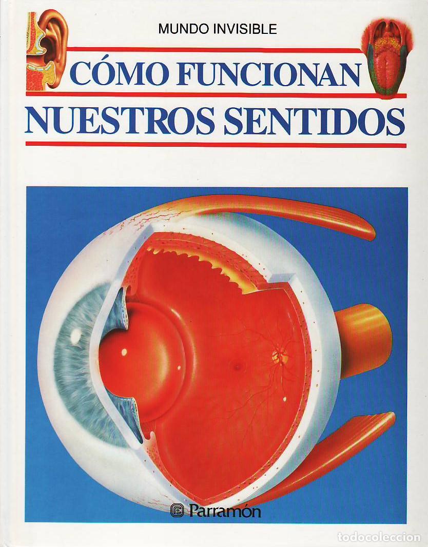Libros de segunda mano: Como funcionan nuestros sentidos - Ripoll, Jaume - Foto 1