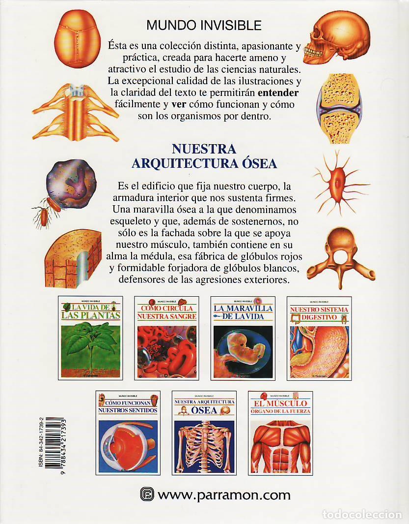 Libros de segunda mano: Nuestra arquitectura osea - Arnau, Eduard - Foto 2