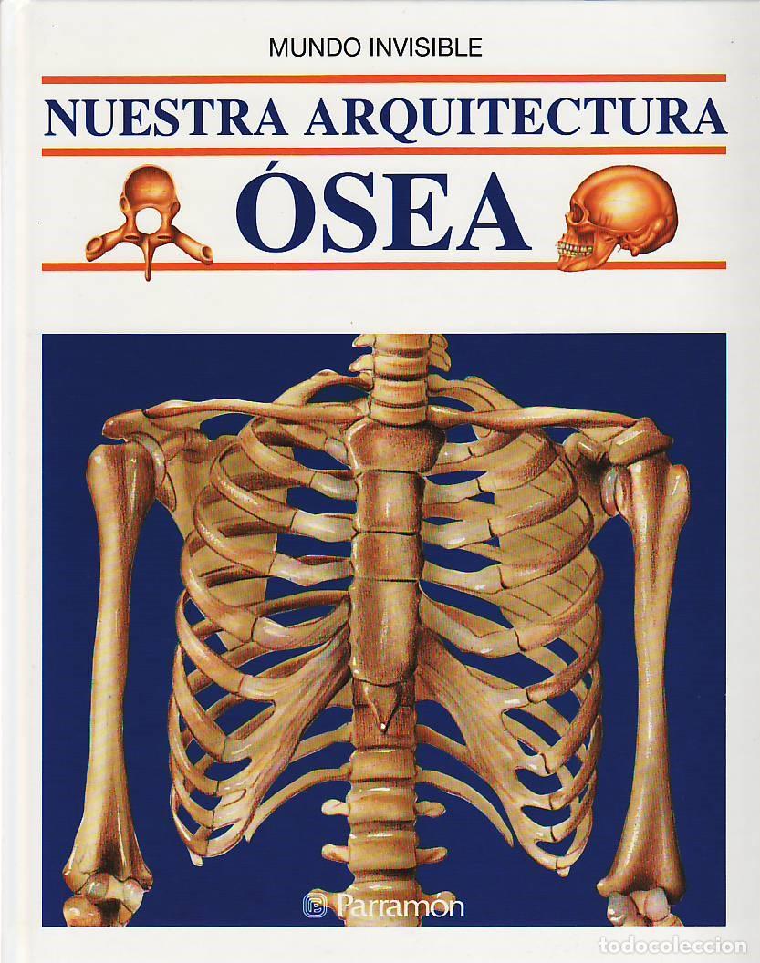 Libros de segunda mano: Nuestra arquitectura osea - Arnau, Eduard - Foto 1