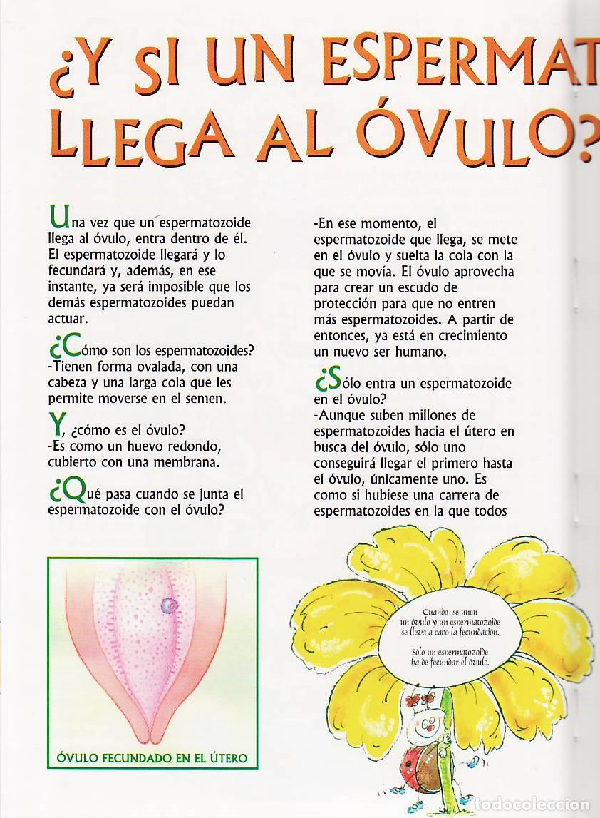 Libros de segunda mano: Como nacemos los ninos y las ninas? - Soldevilla - Foto 3