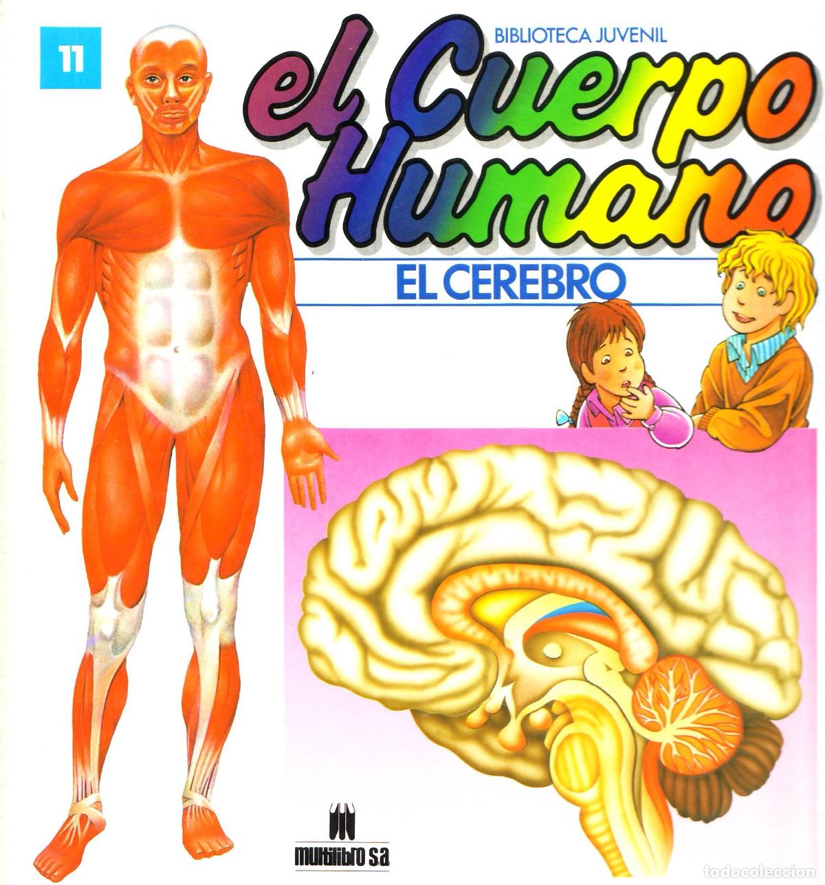 Libros de segunda mano: El cerebro (11) - Varios autores - Foto 1