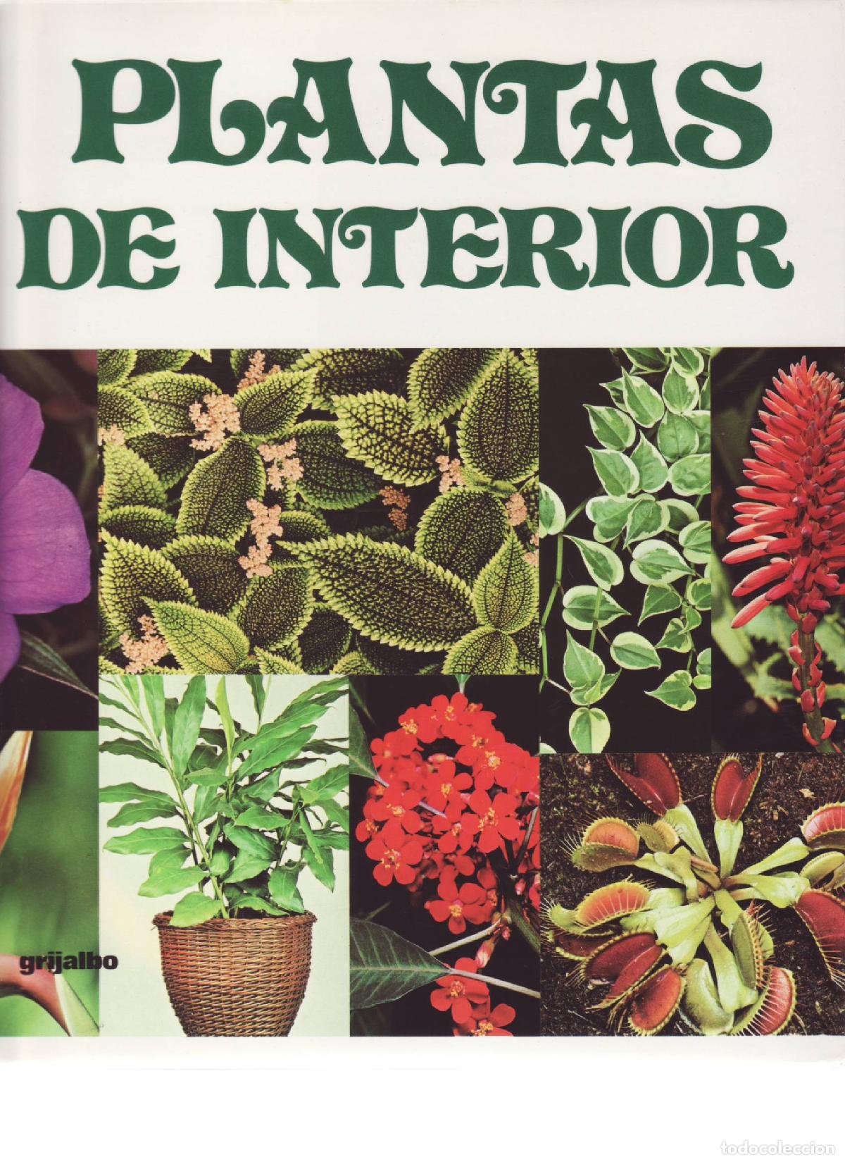 Libros de segunda mano: Plantas de interior - Vallespinos, Fernando tr. - Foto 1