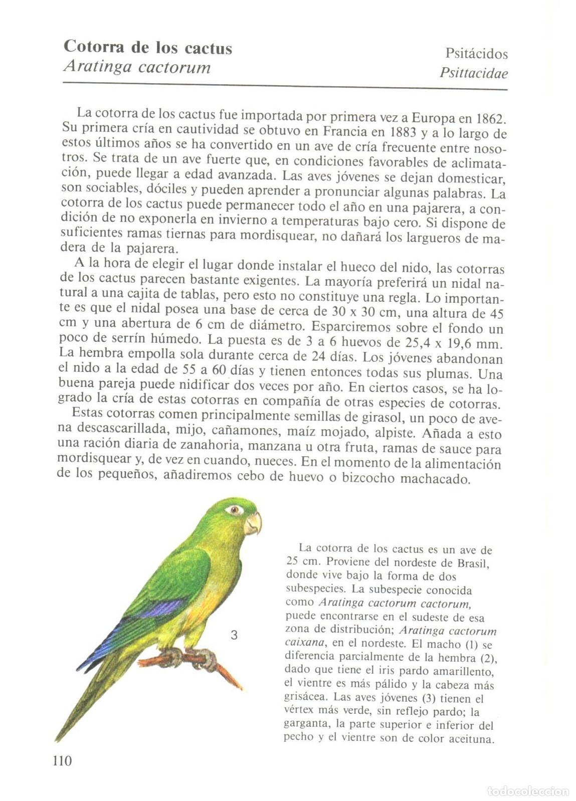 Libros de segunda mano: Aves de jaula - Chvapil, Stanislav - Foto 2