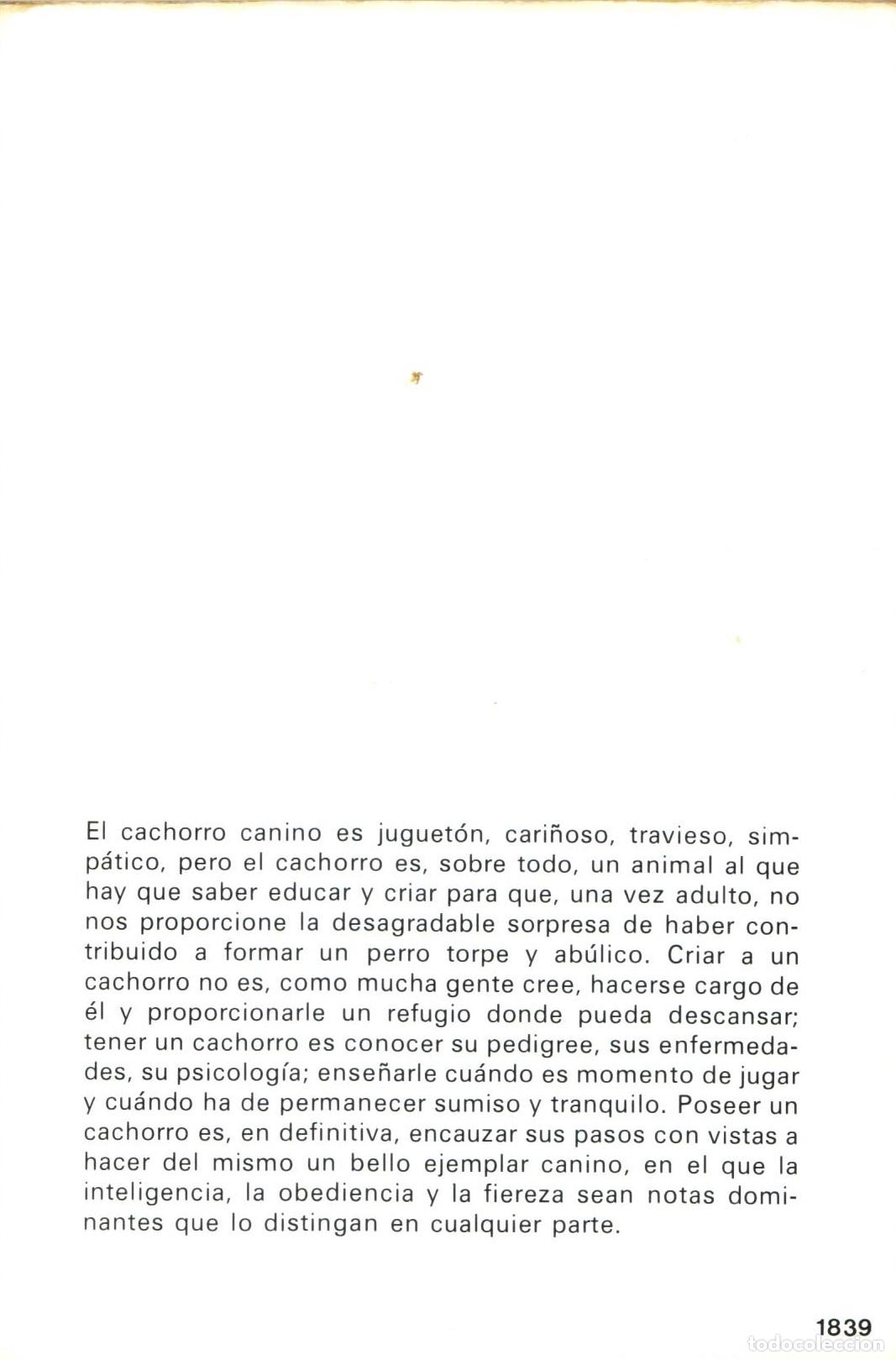 Libros de segunda mano: Como criar y educar al cachorro - Kuntz, Werner - Foto 2