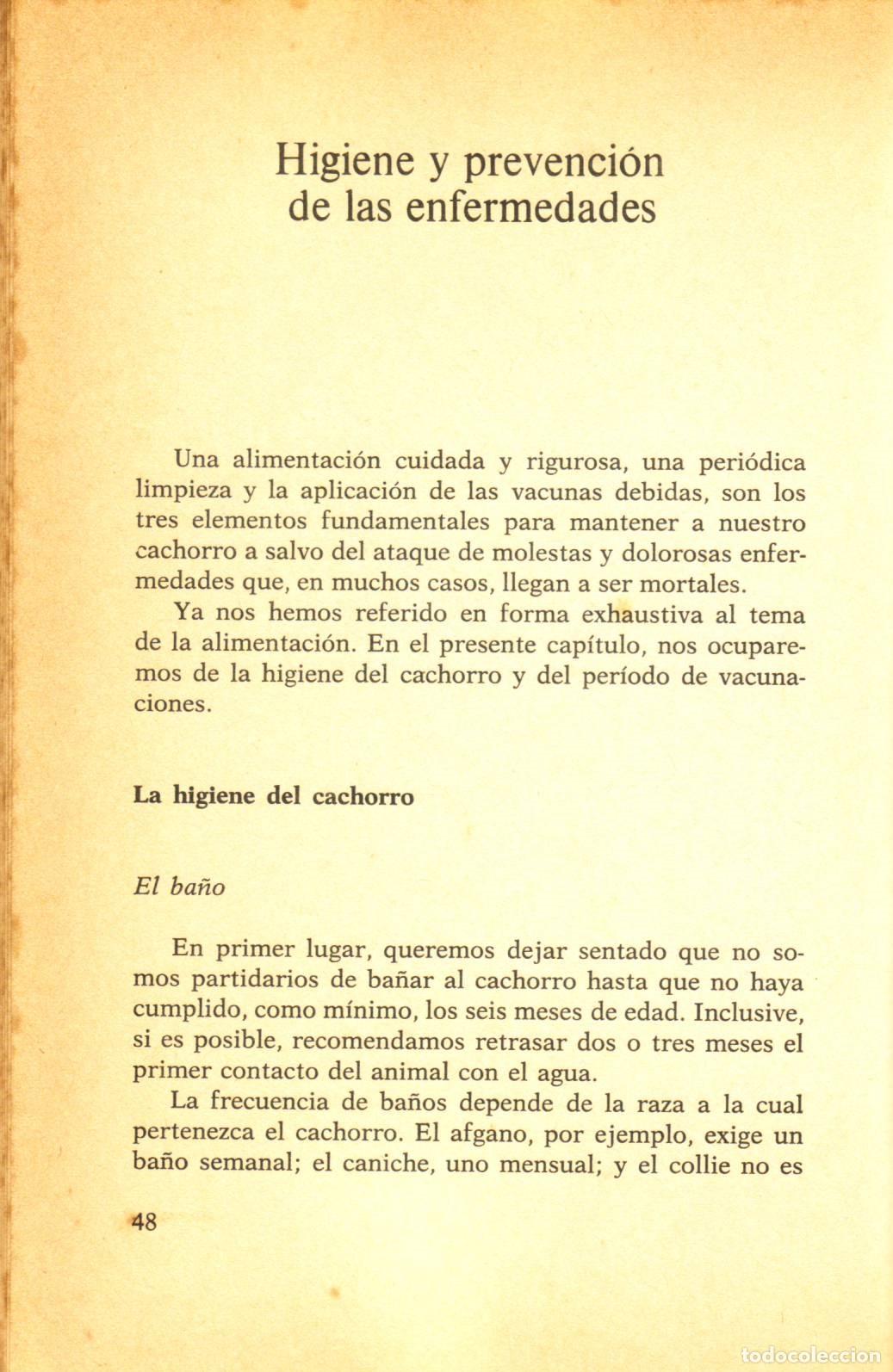 Libros de segunda mano: Como criar y educar al cachorro - Kuntz, Werner - Foto 3