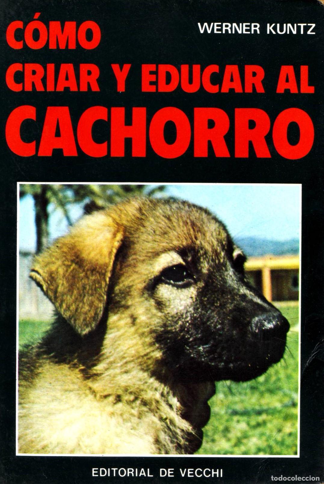 Libros de segunda mano: Como criar y educar al cachorro - Kuntz, Werner - Foto 1