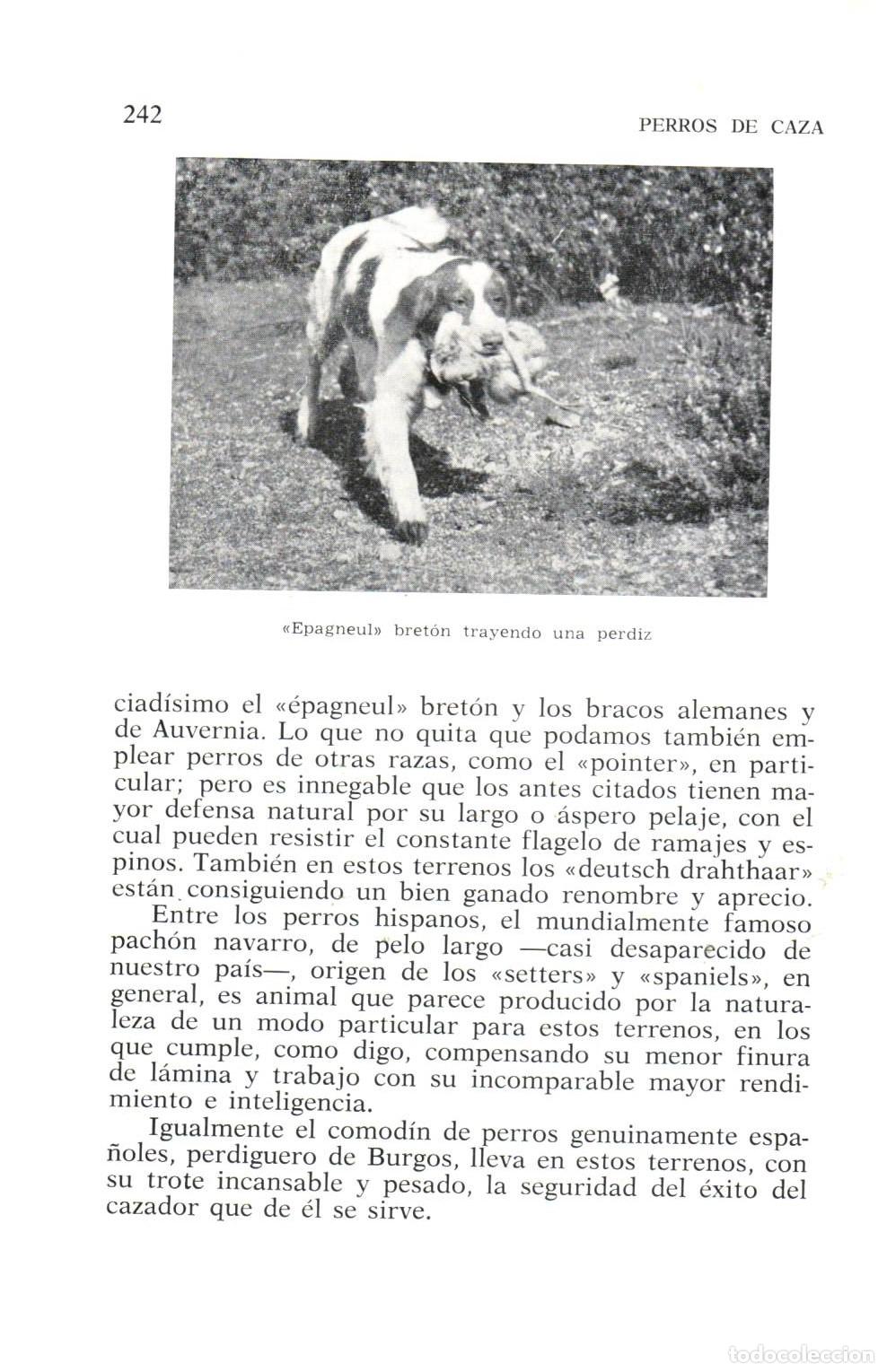 Libros de segunda mano: Perros de caza - Huerta Ramirez, Fernando - Foto 2
