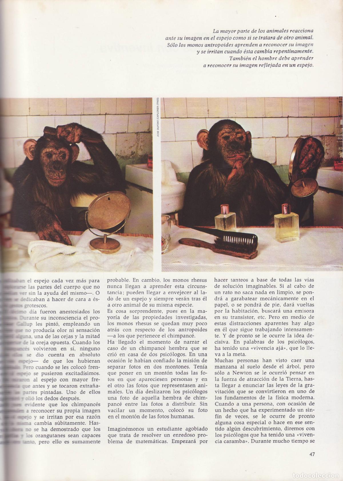 Libros de segunda mano: Etologia - Thews, Klaus - Foto 2