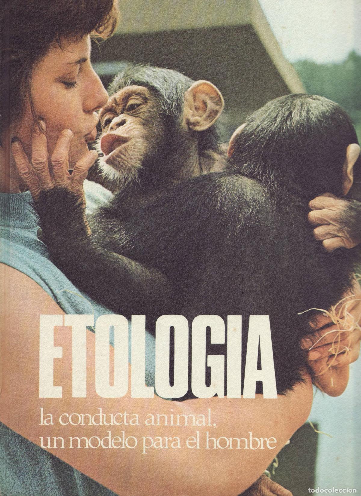 Libros de segunda mano: Etologia - Thews, Klaus - Foto 1