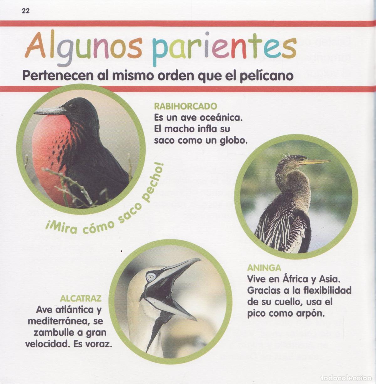 Libros de segunda mano: El pelicano - Foto 2