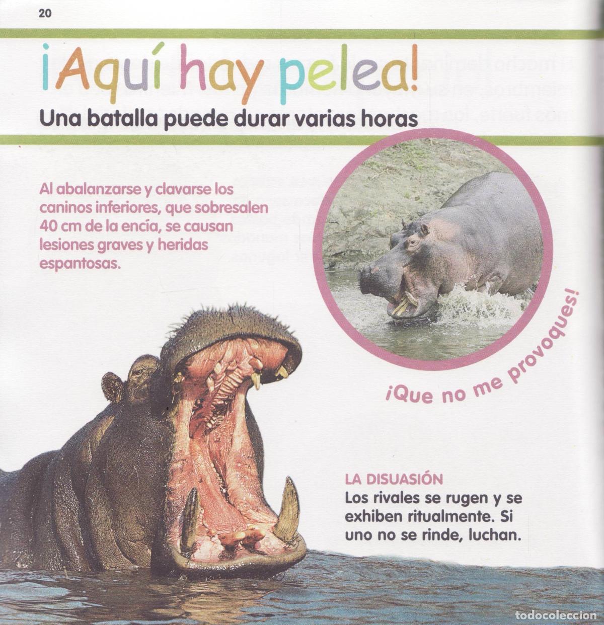 Libros de segunda mano: El hipopotamo - Foto 3