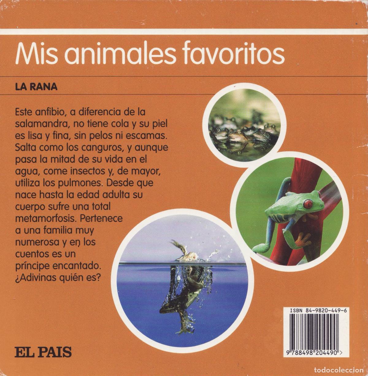 Libros de segunda mano: La rana - Foto 3