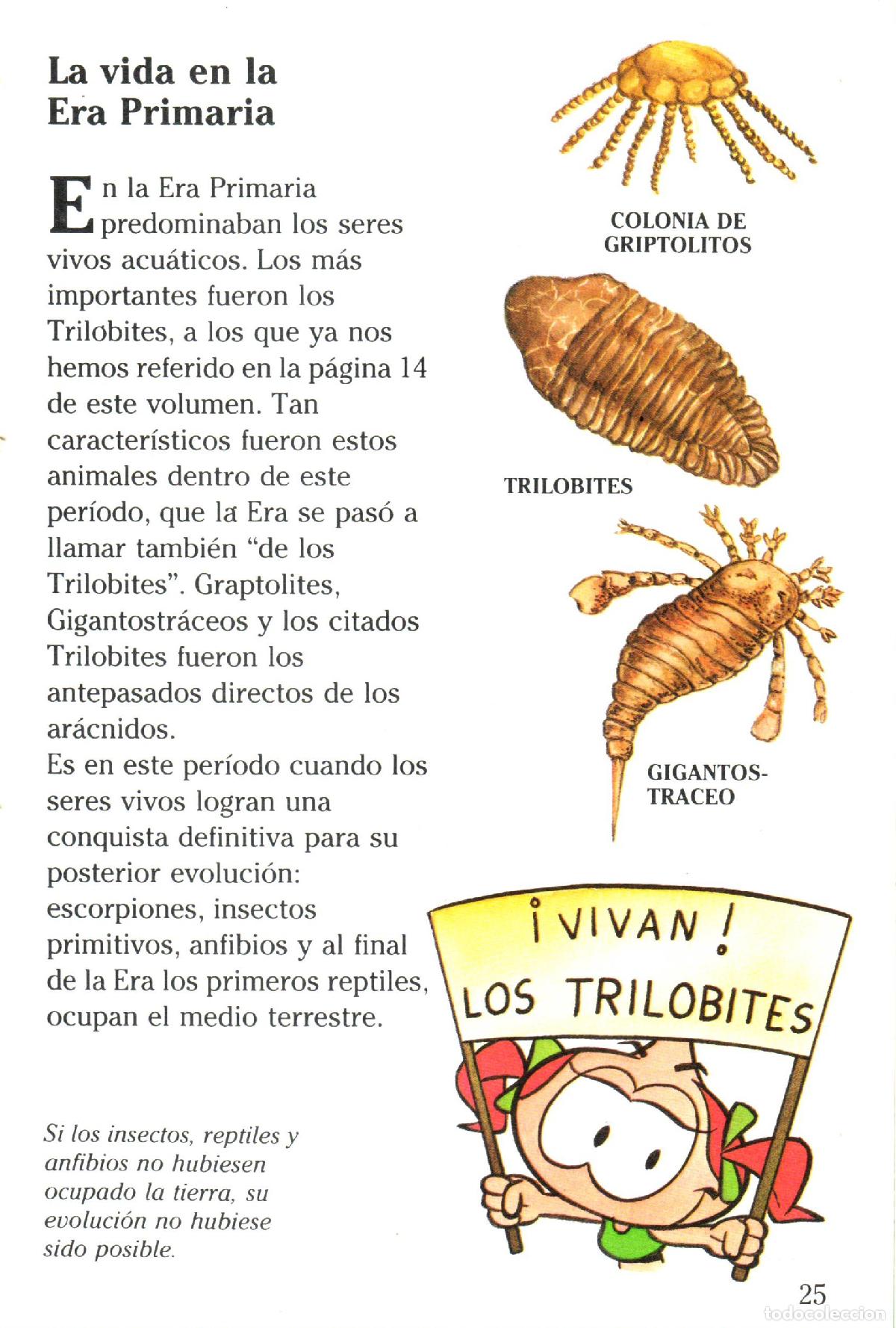 Libros de segunda mano: La historia de la tierra - Llobet Colome, Ramon - Foto 2