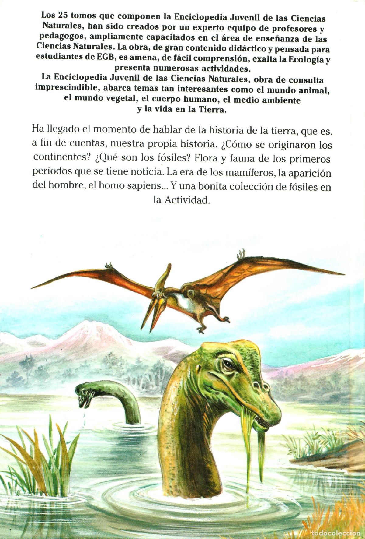 Libros de segunda mano: La historia de la tierra - Llobet Colome, Ramon - Foto 3