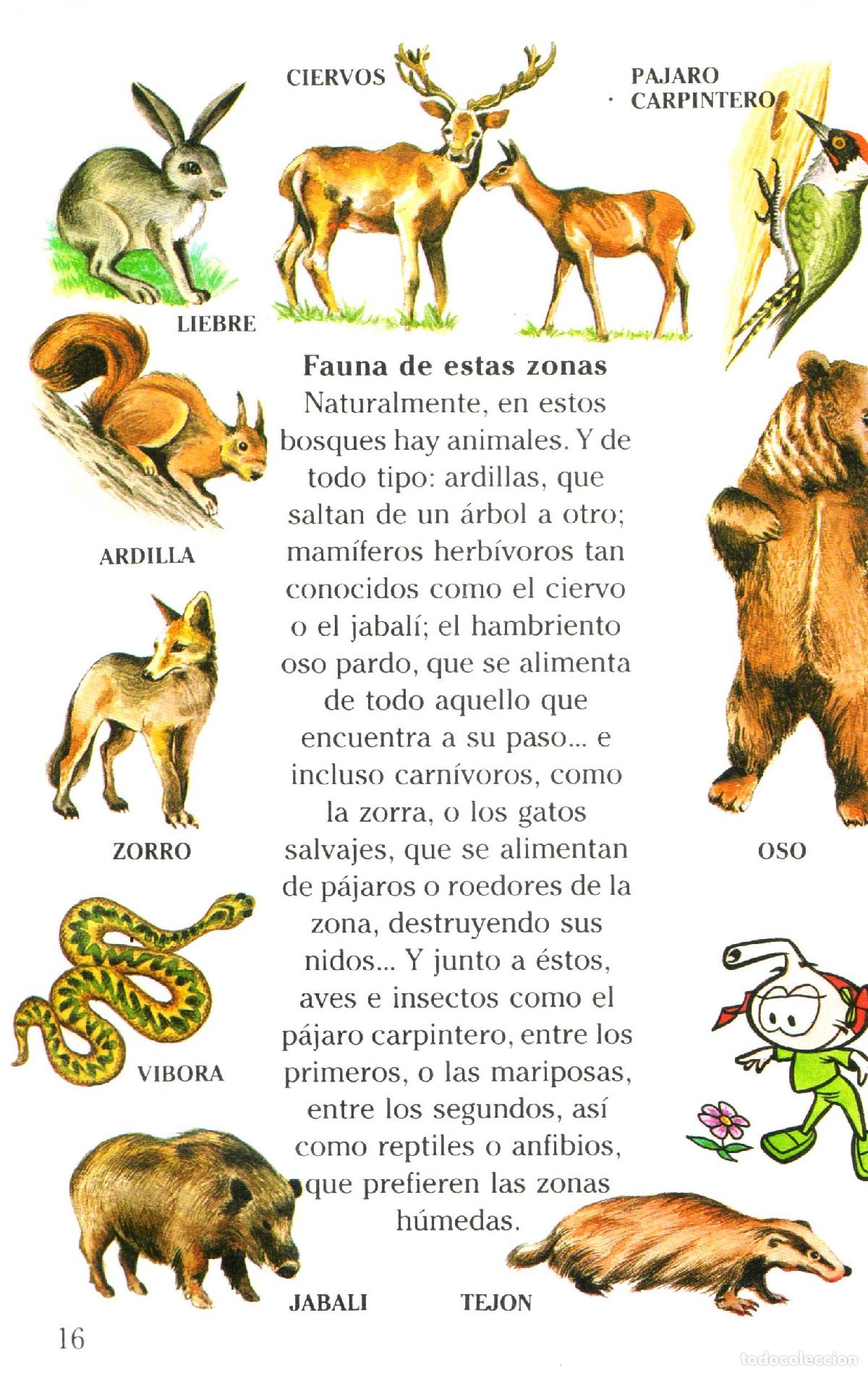 Libros de segunda mano: La vida en la tierra - Llobet Colome, Ramon - Foto 2