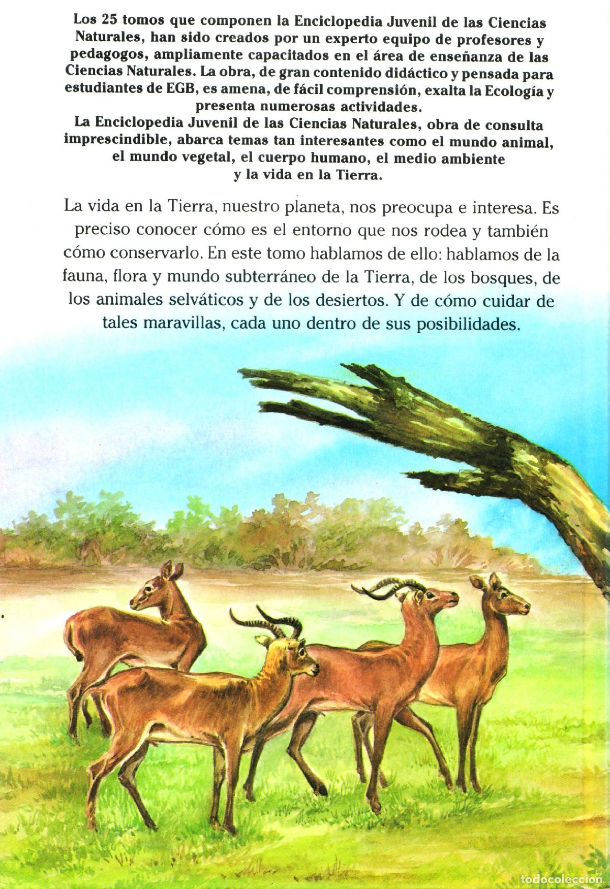 Libros de segunda mano: La vida en la tierra - Llobet Colome, Ramon - Foto 3