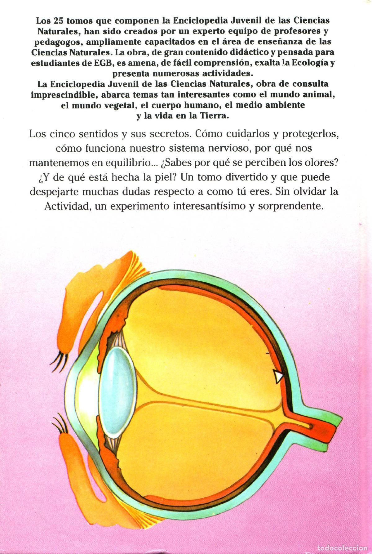 Libros de segunda mano: Nuestro cuerpo (IV) - Llobet Colome, Ramon - Foto 2