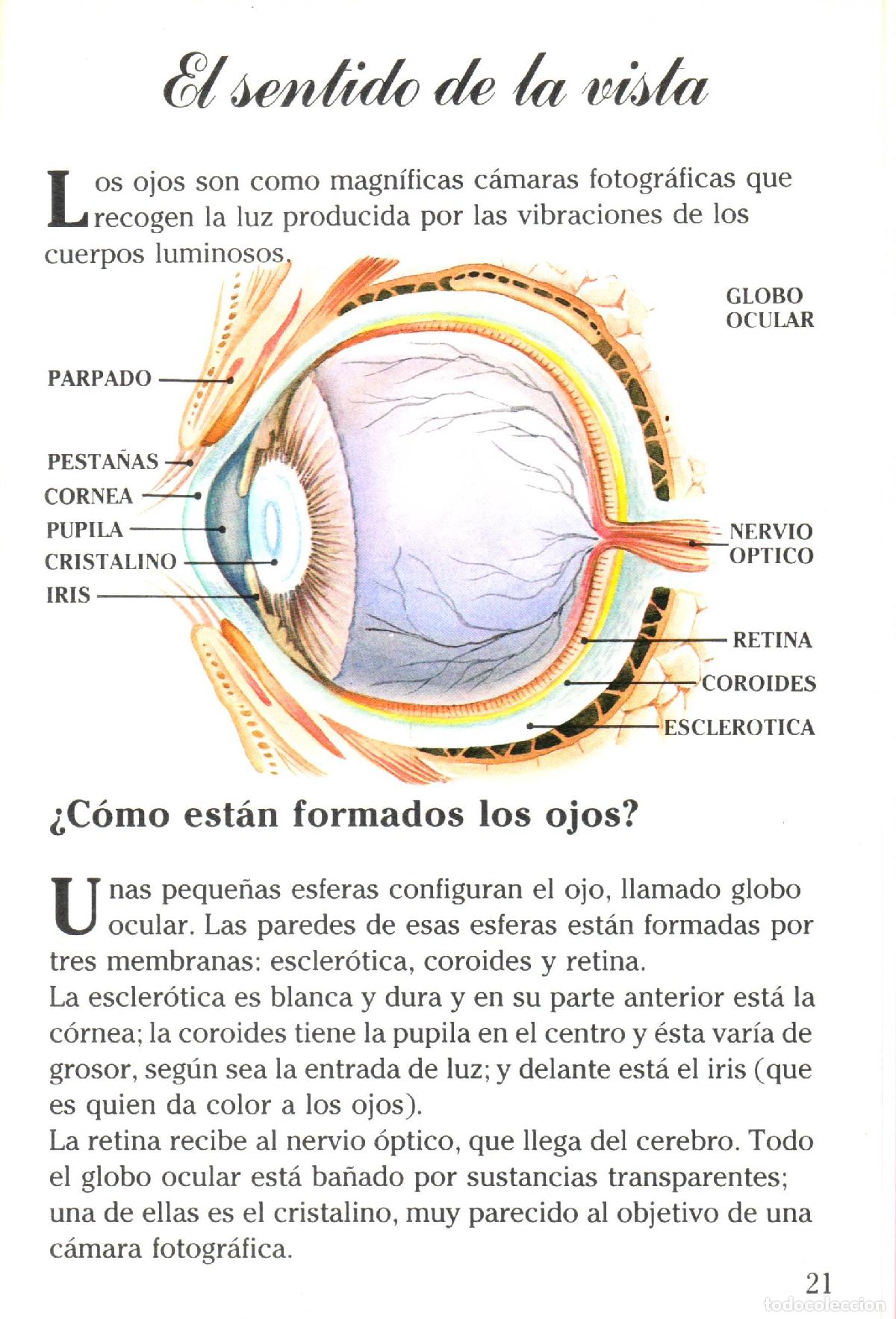 Libros de segunda mano: Nuestro cuerpo (IV) - Llobet Colome, Ramon - Foto 3