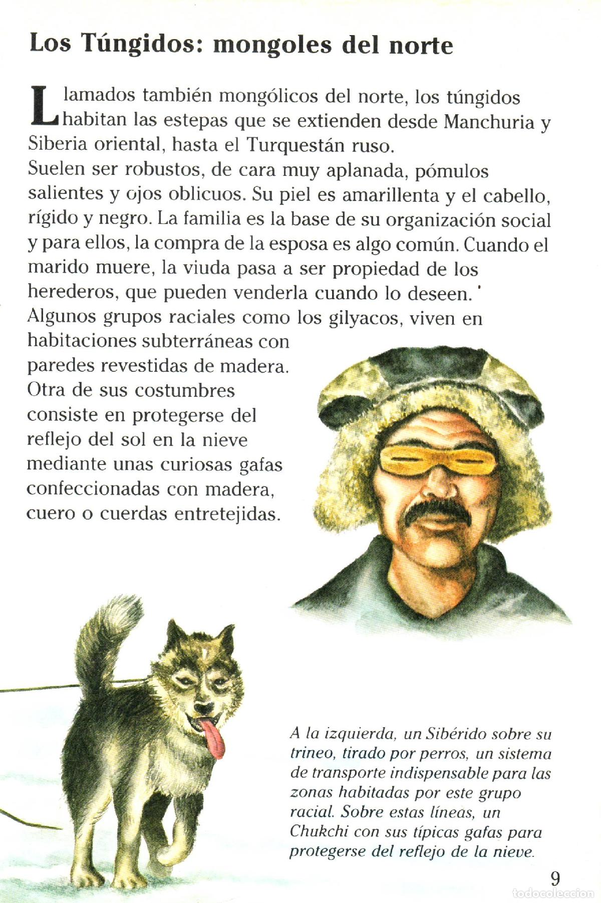 Libros de segunda mano: Razas humanas (III) - Llobet Colome, Ramon - Foto 2