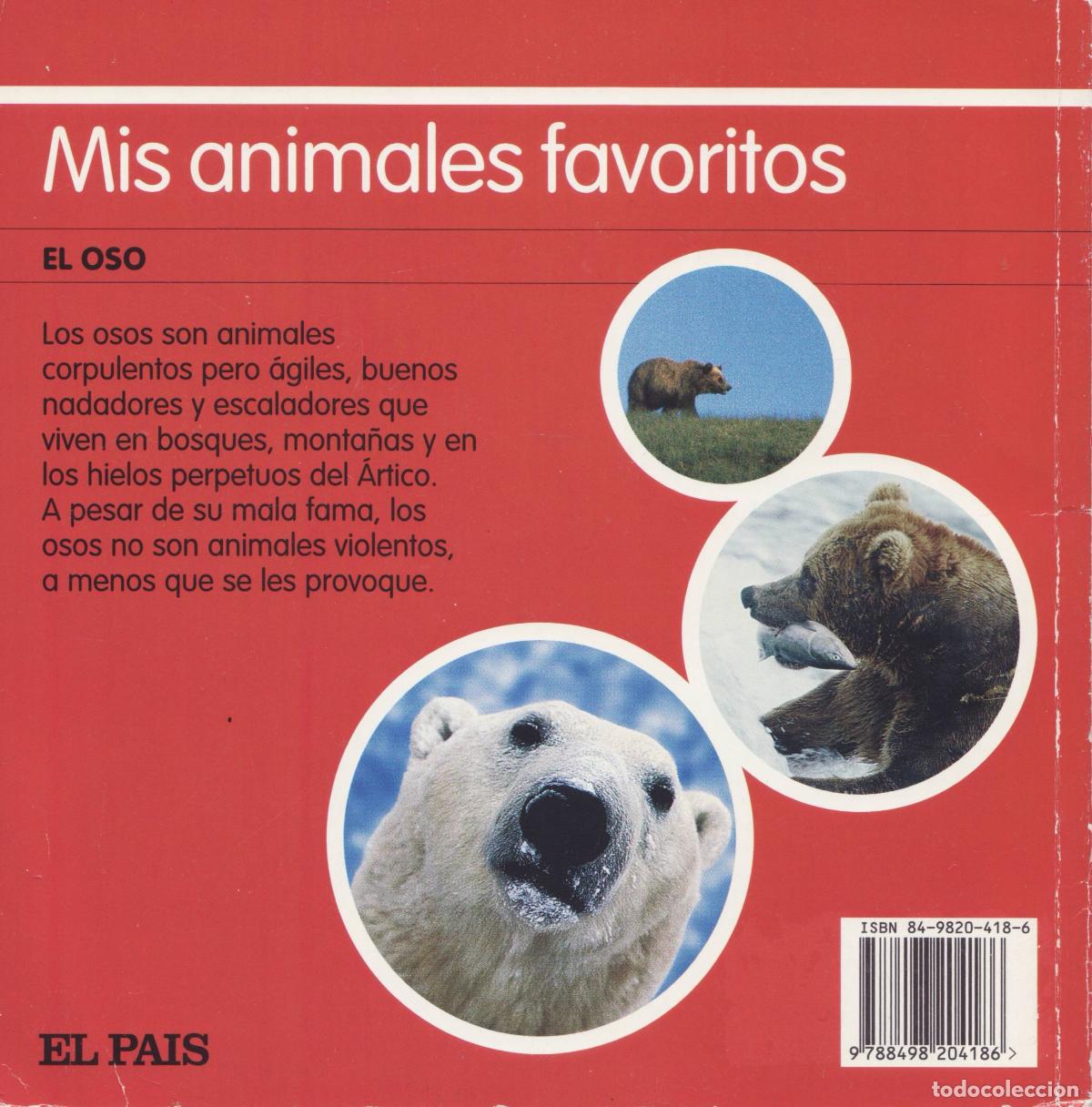 Libros de segunda mano: El oso - Foto 3