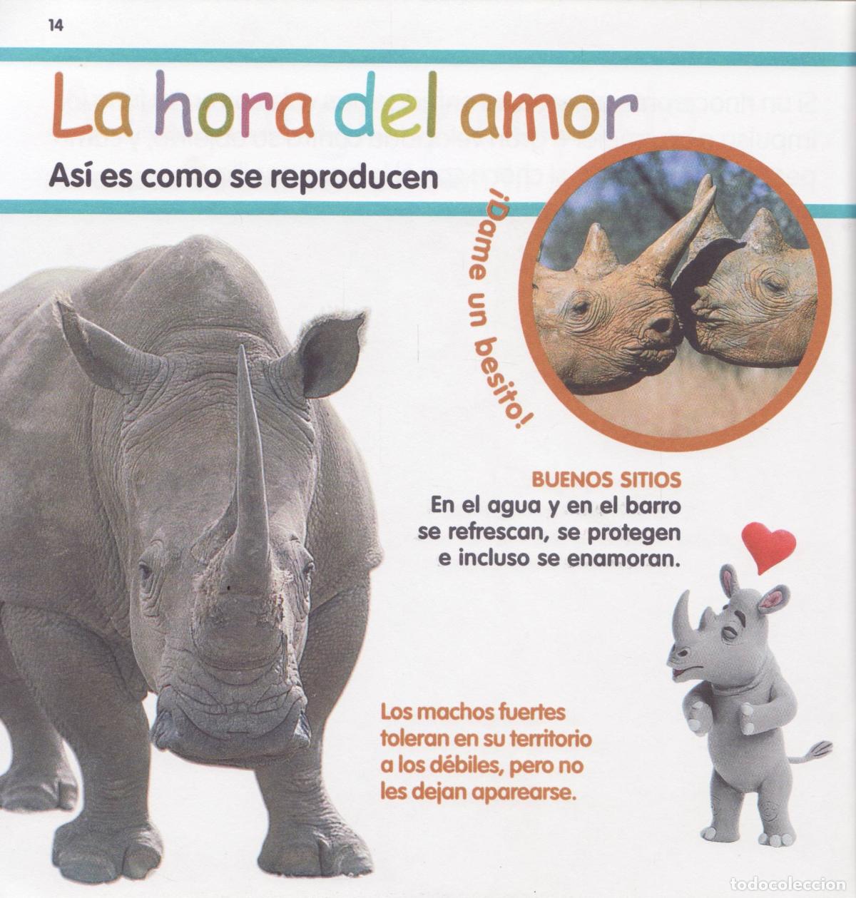 Libros de segunda mano: El rinoceronte - Foto 3