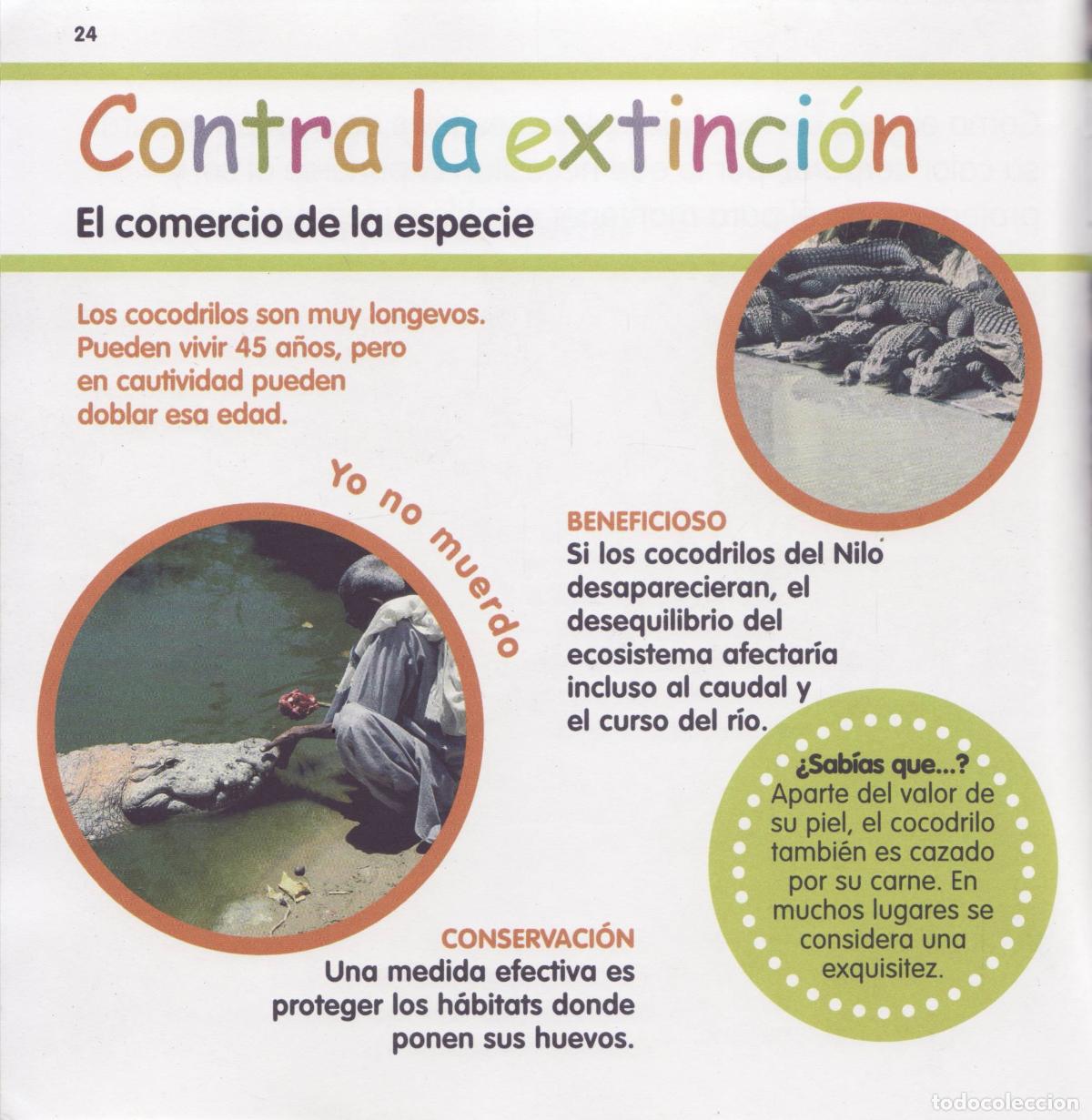 Libros de segunda mano: El cocodrilo - Foto 3