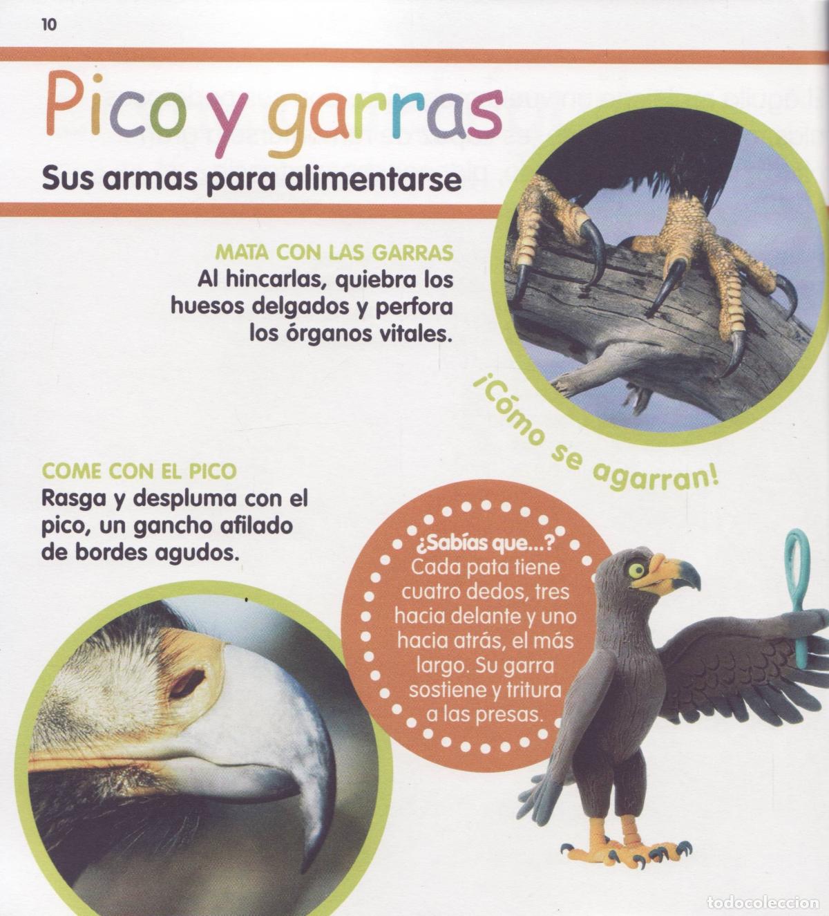 Libros de segunda mano: El aguila - Foto 3