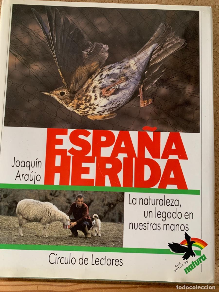 Libros de segunda mano: Espa&ntilde;a Herida de Joaqu&iacute;n Ara&uacute;jo - Foto 1