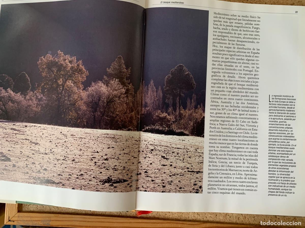 Libros de segunda mano: Espa&ntilde;a Herida de Joaqu&iacute;n Ara&uacute;jo - Foto 3