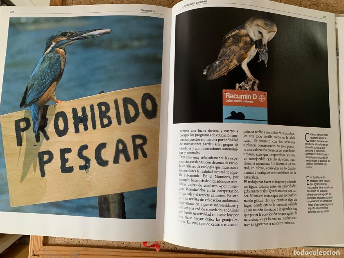 Libros de segunda mano: Espa&ntilde;a Herida de Joaqu&iacute;n Ara&uacute;jo - Foto 4