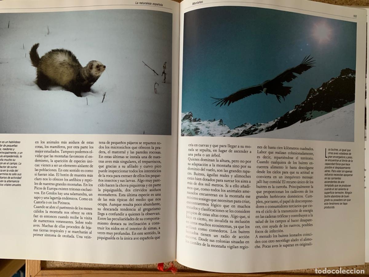 Libros de segunda mano: Espa&ntilde;a Herida de Joaqu&iacute;n Ara&uacute;jo - Foto 5