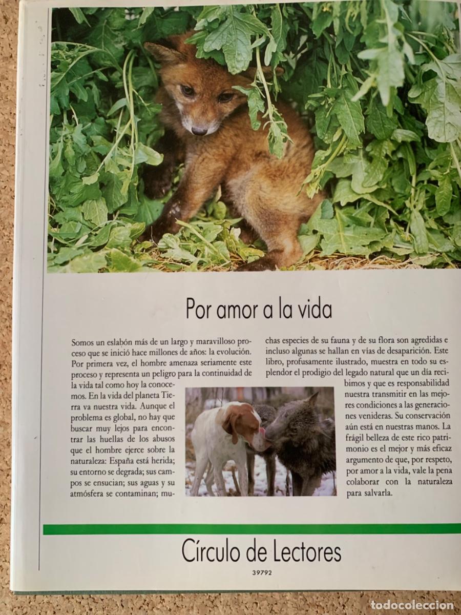 Libros de segunda mano: Espa&ntilde;a Herida de Joaqu&iacute;n Ara&uacute;jo - Foto 6
