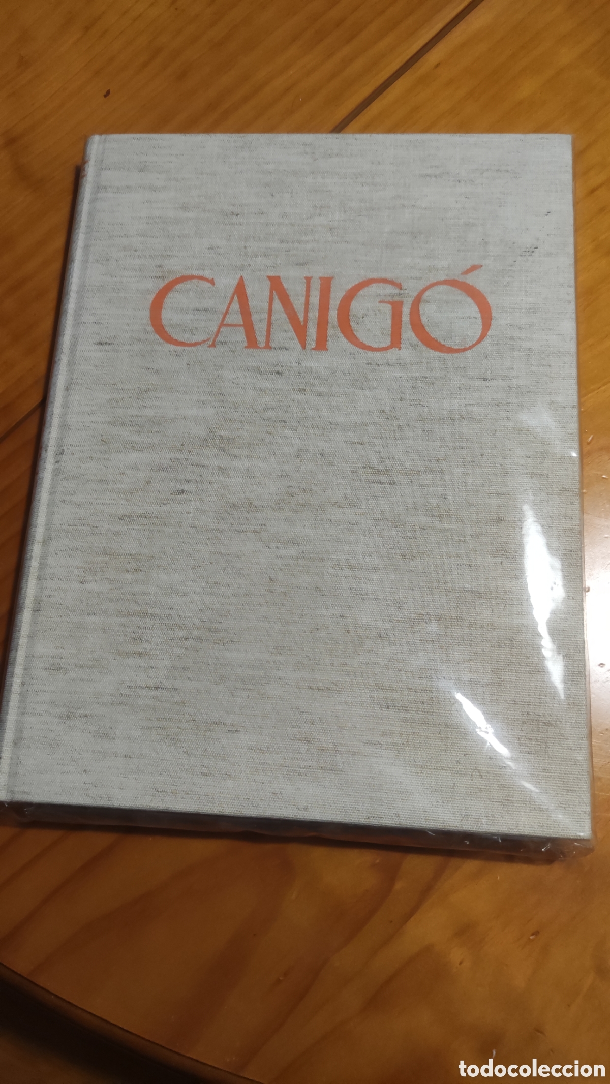 Libros de segunda mano: Canig&oacute;, Jacint Verdaguer. Ed. Ausa - Foto 1