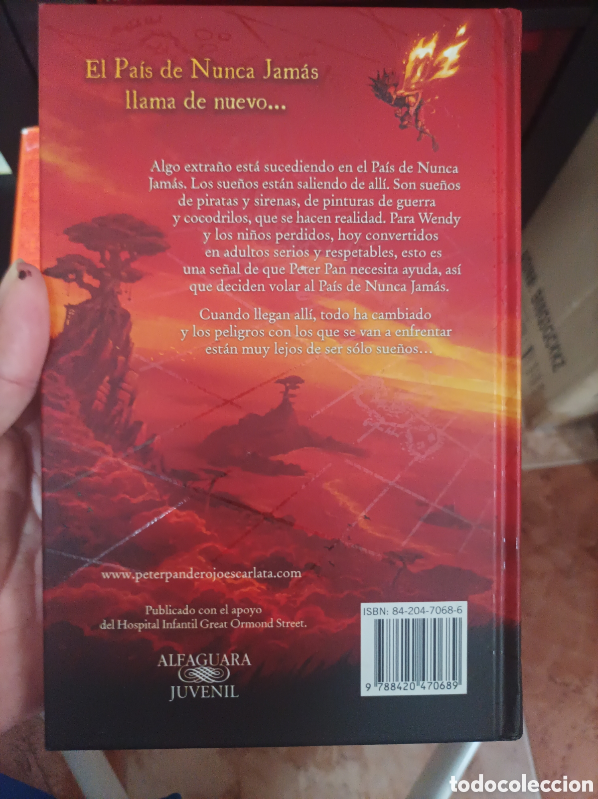 Libros de segunda mano: Peter pan de rojo escarlata Geraldine McCaughrean-primera edici&oacute;n - Foto 2
