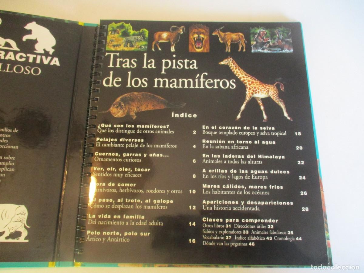 Libros de segunda mano: TRAS LA PISTA DE LOS MAM&Iacute;FEROS W23200 - Foto 2