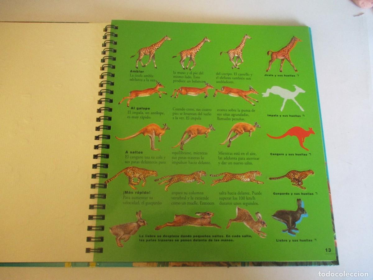 Libros de segunda mano: TRAS LA PISTA DE LOS MAM&Iacute;FEROS W23200 - Foto 3