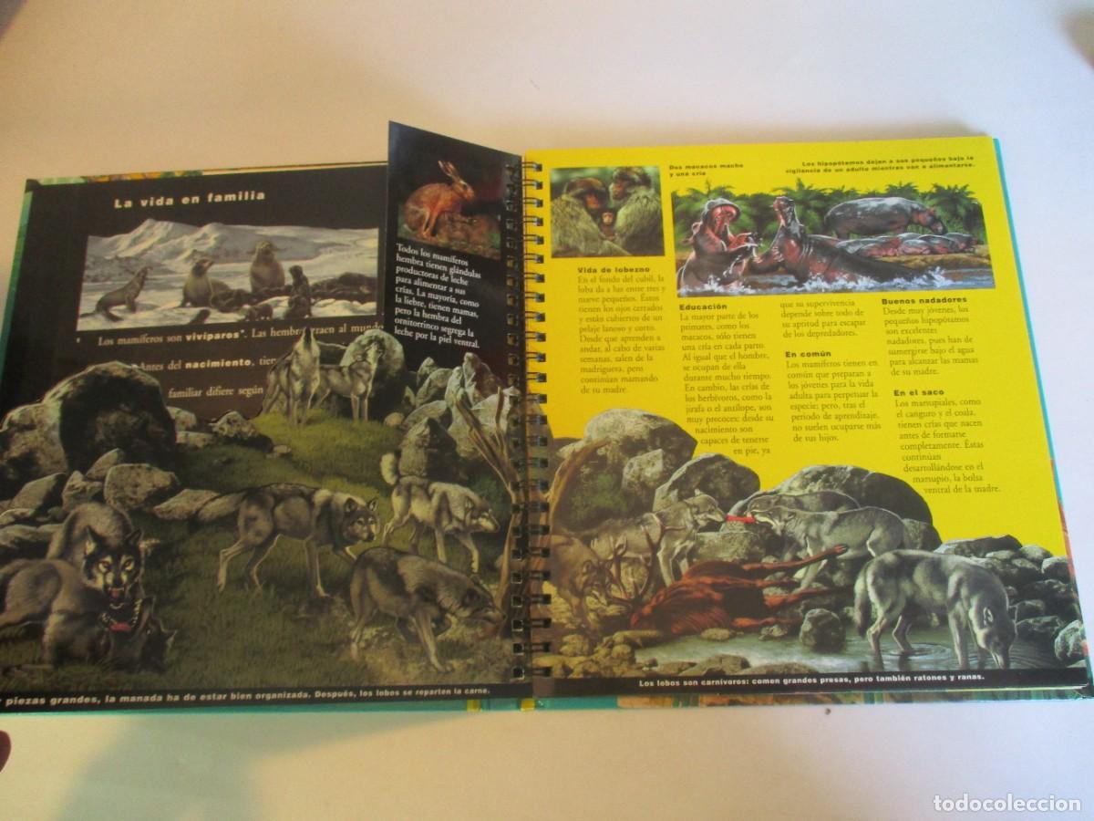 Libros de segunda mano: TRAS LA PISTA DE LOS MAM&Iacute;FEROS W23200 - Foto 4